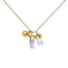 Accessories Tiger Frame Necklaces | Tiger Frame Gold Aquamarine/Kunzite Charm Necklace