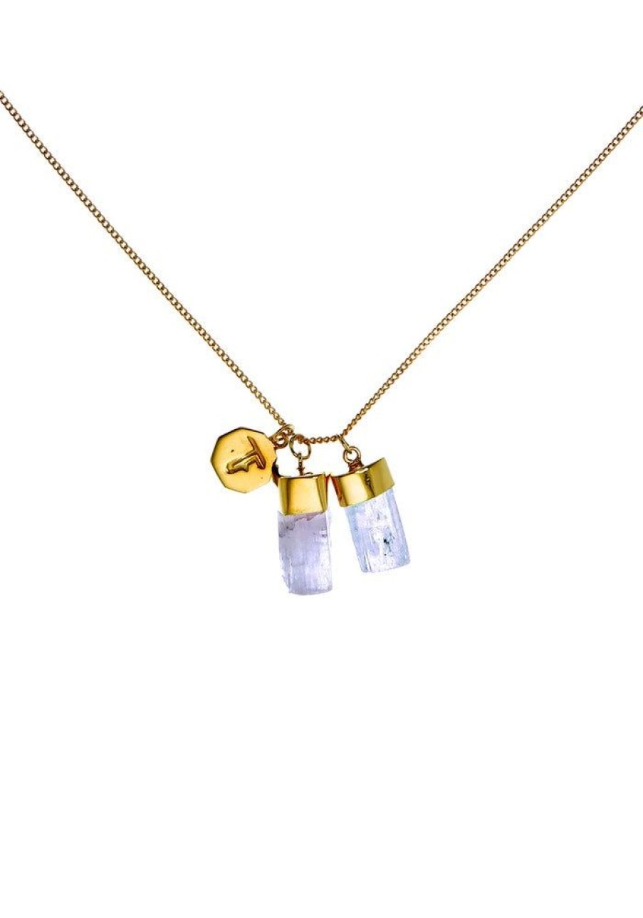 Accessories Tiger Frame Necklaces | Tiger Frame Gold Aquamarine/Kunzite Charm Necklace