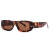 Accessories Reality Eyewear Sunglasses | Xray Specs - Turtle